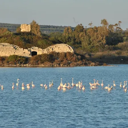 Il Melograno Bed and Breakfast Manduria